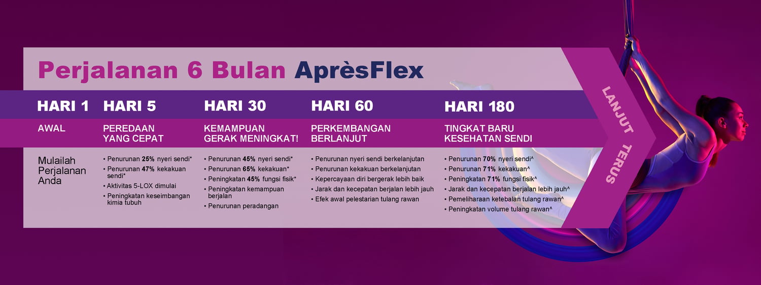 Apresflex Journey Chart - Indonesian Apresflex Journey Chart - Indonesian