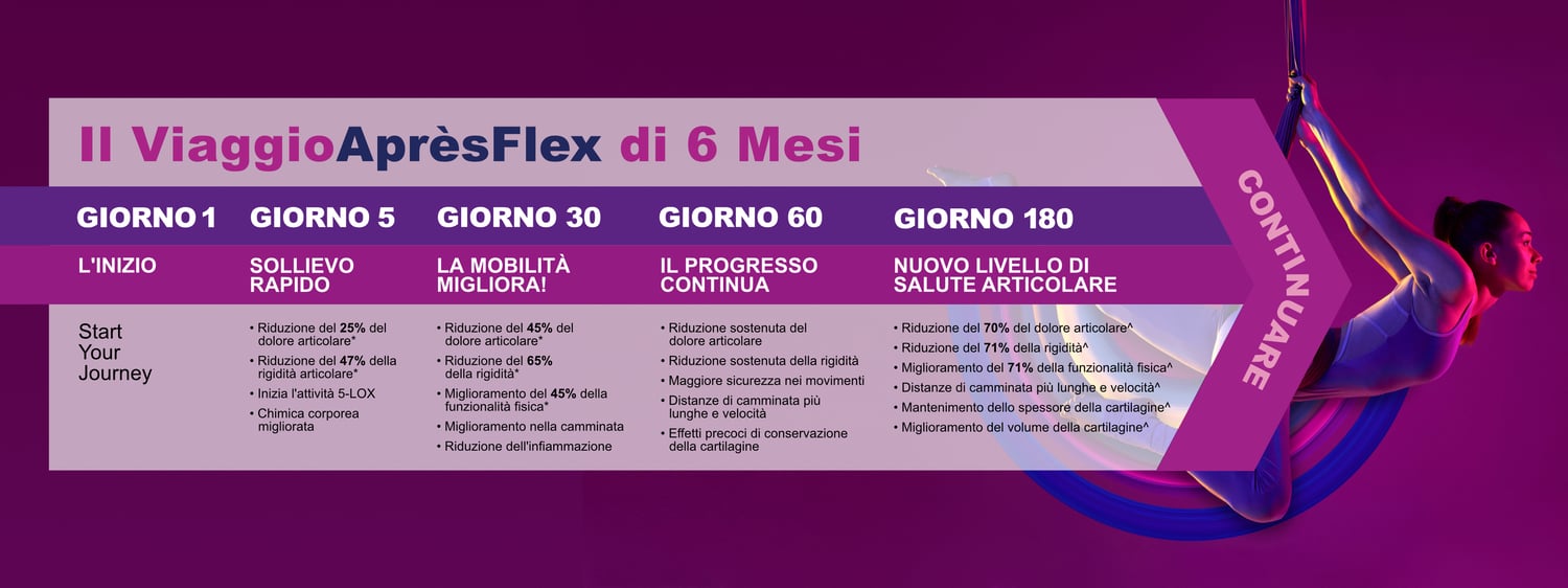 Apresflex Journey Chart - Italian