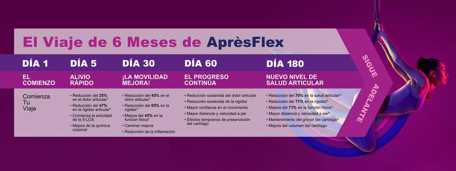 Apresflex Journey Chart - Spanish