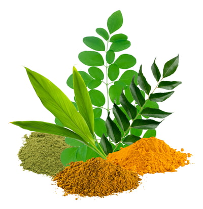 turmeric-curry-moringa-oleifera-ingredient-slendacor